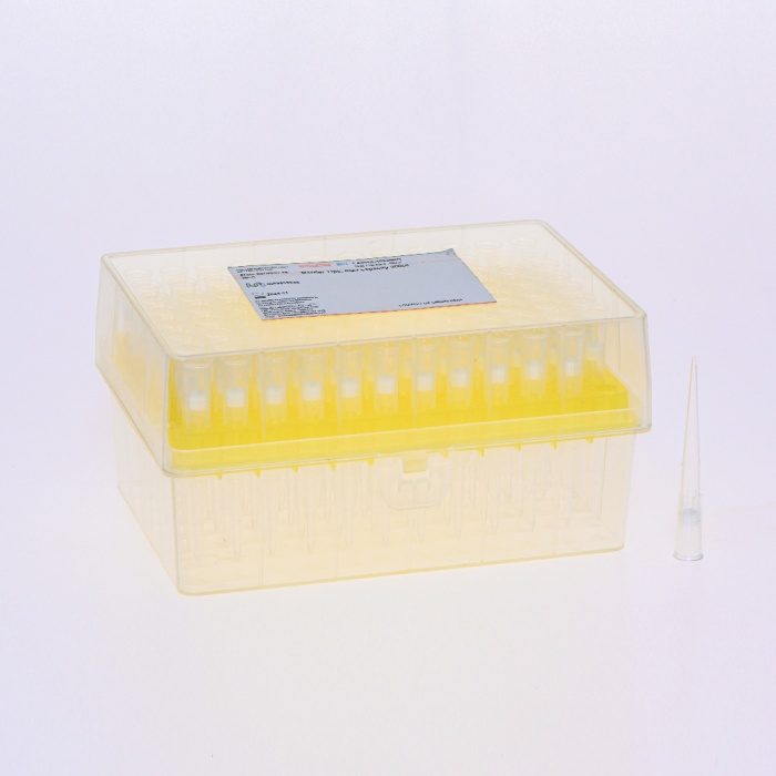 Barrier Tips,200µl Max capacity 200 μl