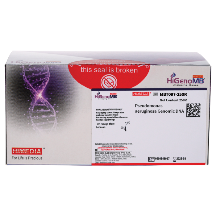 Pseudomonas aeruginosa Genomic DNA