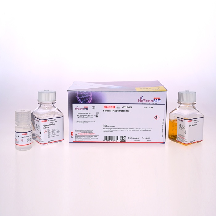 Bacterial Transformation Kit