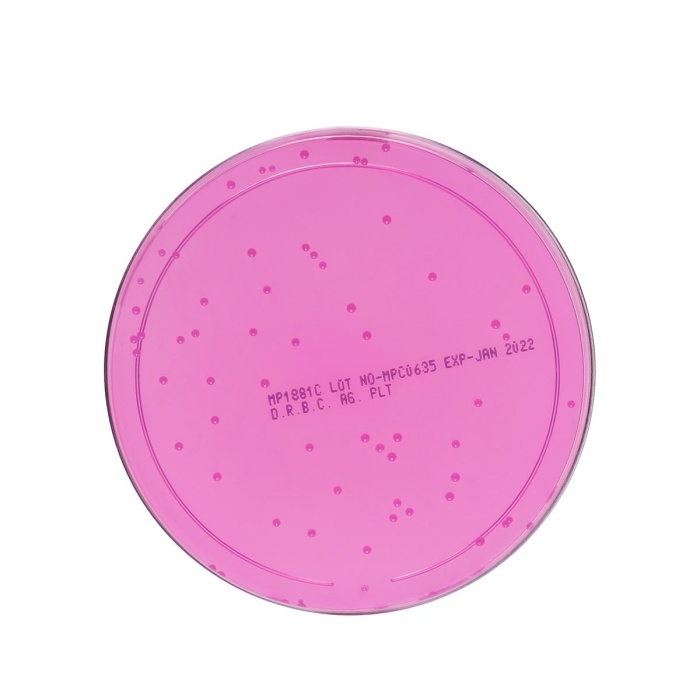 Dichloran Rose Bengal Chloramphenicol (DRBC) Agar Plate (100mm plate)