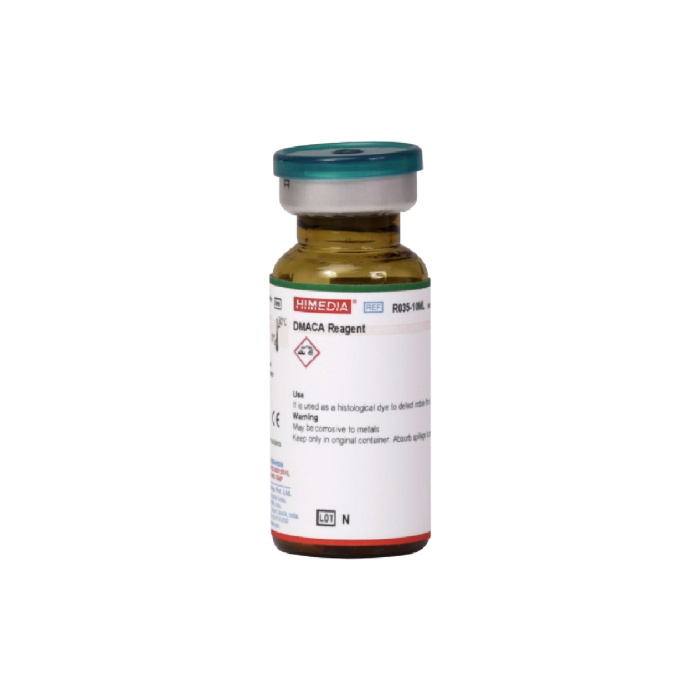 DMACA Reagent 