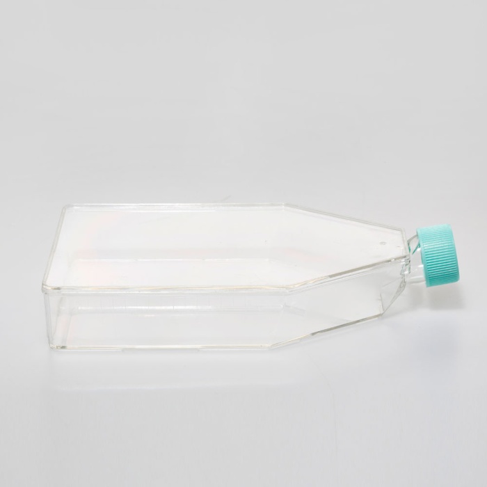 Tissue Culture Flask