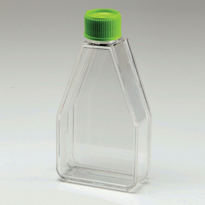 Tissue Culture Flask, Surface Treated