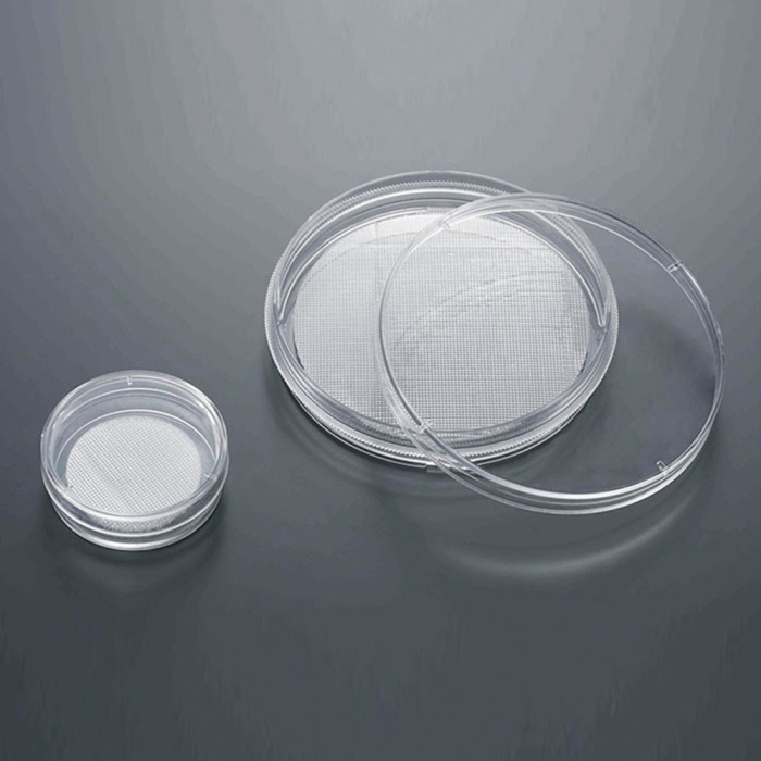 Cell Culture Scaffold, 35mm Dish