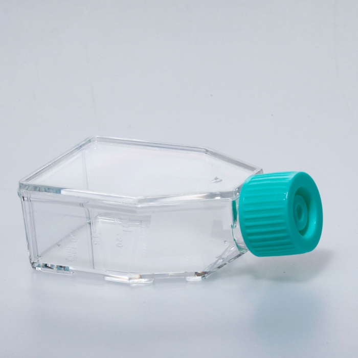 Tissue Culture Flask