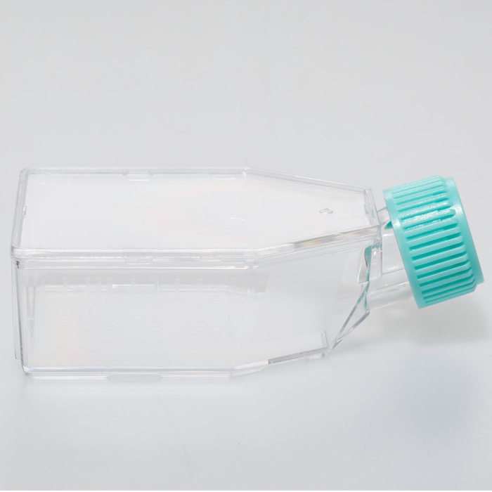 Tissue Culture Flask