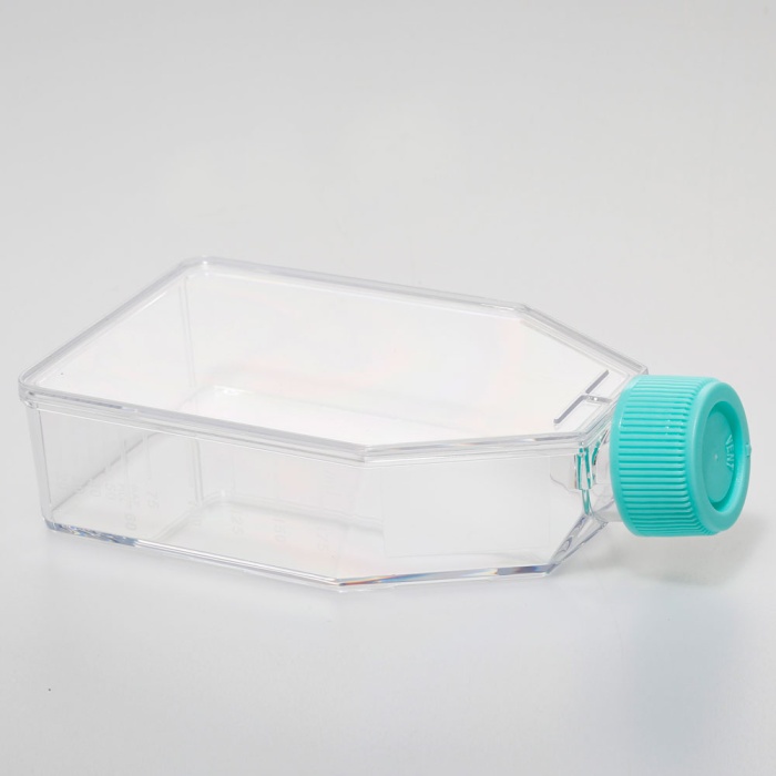 Tissue Culture Flask