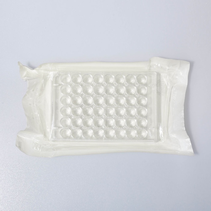 Tissue Culture Plates