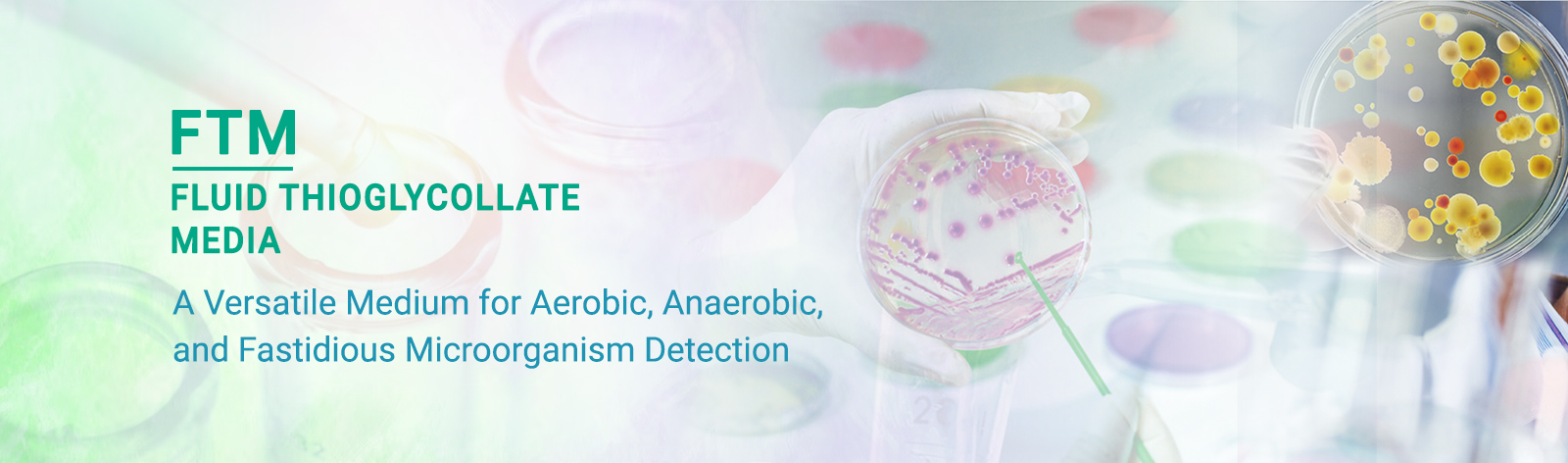Fluid Thioglycollate Medium (FTM): A Versatile Medium for Aerobic, Anaerobic, and Fastidious Microorganism Detection