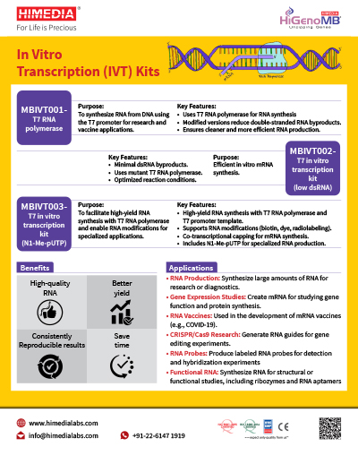 In Vitro Transcription (IVT) Kits