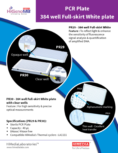 PR29/PR30-384 Well Full-Skirt White Plate