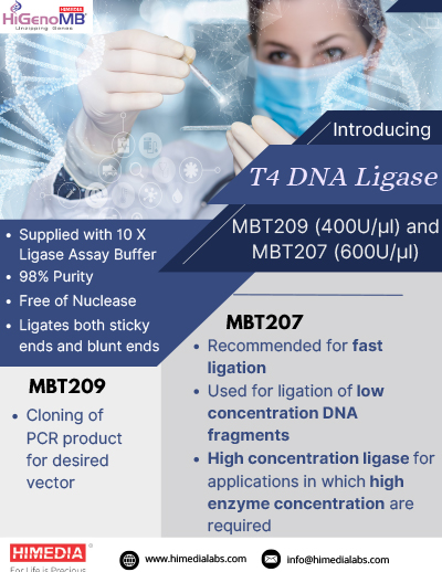 T4 DNA Ligase